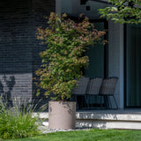 Max Pflanzkübel Taupe aus Fiberstone – im Lifestyle-Setting