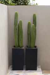 Kaktus San Pedro Künstlich - Finestgreen