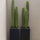 Kaktus San Pedro Künstlich - Finestgreen