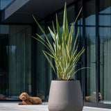 Pax Pflanzkübel Taupe aus Fiberstone – Größe 46 freigestellt