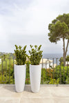 Zamioculcas künstlich, H: 90cm