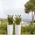 Zamioculcas Künstlich H: 90cm Finestgreen 