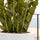 Zamioculcas Künstlich H: 90cm Finestgreen 