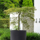 Jumbo Max Pflanzkübel Schwarz aus Fiberstone – Detailansicht Oberfläche