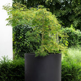 Jumbo Max Pflanzkübel Schwarz aus Fiberstone – Outdoor-Setting