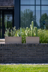 Balcony Balkonkasten Taupe aus Fiberstone – mehrere Größen mit Bepflanzung