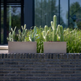 Balcony Balkonkasten Taupe aus Fiberstone – mehrere Größen mit Bepflanzung