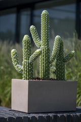 Kaktus Saguaro Künstlich H: 62 cm - Finestgreen