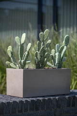 Kaktus Opuntia Künstlich H: 72 cm - Finestgreen