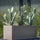 Kaktus Opuntia Künstlich H: 41cm - Finestgreen