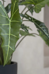 Alocasia Taro Künstlich H: 140cm - Finestgreen
