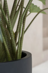 Alocasia Taro Künstlich H: 140cm - Finestgreen