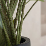 Alocasia Taro Künstlich H: 160cm - Finestgreen