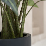 Alocasia Taro Künstlich H: 120cm - Finestgreen