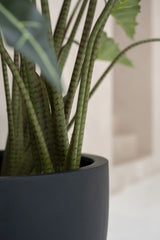 Alocasia Taro Künstlich H: 160cm - Finestgreen