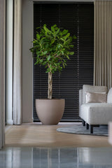 Jesslyn Pflanzkübel Taupe aus Fiberstone – Outdoor-Setting