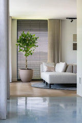 Jesslyn Pflanzkübel Taupe aus Fiberstone – im Lifestyle-Setting