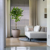 Jesslyn Pflanzkübel Taupe aus Fiberstone – im Lifestyle-Setting