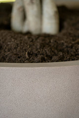 Jesslyn Pflanzkübel Taupe aus Fiberstone – Seitenansicht