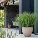 Jesslyn Pflanzkübel Taupe aus Fiberstone – Detailansicht Oberfläche