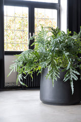 Jumbo Patt Pflanzkübel Schwarz aus Fiberstone – im Lifestyle-Setting