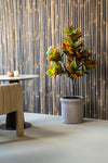 Codiaeum Wunderstrauch künstlich, H: 150cm