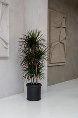 Max Classic Pflanzkübel Schwarz aus Fiberstone – Heritage-Optik Outdoor