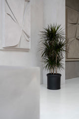 Max Classic Pflanzkübel Schwarz aus Fiberstone – Detailansicht Oberfläche