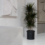 Max Classic Pflanzkübel Schwarz aus Fiberstone – Detailansicht Oberfläche