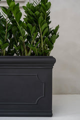 Jort Classic Schwarz - Finestgreen