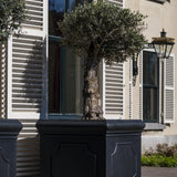 Jumbo Classic Pflanzkübel Schwarz aus Fiberstone – Detailansicht Heritage-Oberfläche
