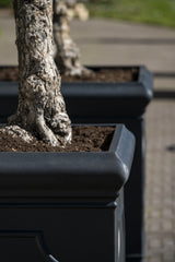 Jumbo Classic Pflanzkübel Schwarz aus Fiberstone – XXL Kübel