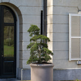 Jumbo Max Classic Taupe aus Fiberstone – XXL Pflanzkübel in Taupe Heritage-Optik