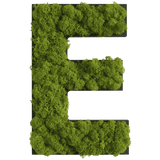 Islandmoos Piktogramm Buchstabe Finestgreen 