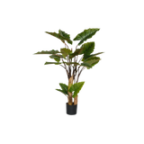 Alocasia Künstlich H: 160cm Finestgreen [mc]