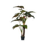 Alocasia Künstlich H: 220cm Finestgreen [mc]
