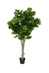 Ficus Lyrata Geigenfeige Künstlich H: 180cm - Finestgreen [mc]
