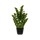 Zamioculcas Künstlich H: 90cm Finestgreen [mc]