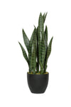 Sansevieria künstlich, H: 70cm