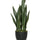 Sansevieria Künstlich H: 70cm - Finestgreen [mc]