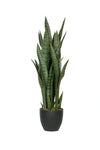 Sansevieria künstlich, H: 85cm