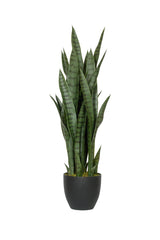 Sansevieria Künstlich H: 85cm - Finestgreen [mc]