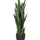 Sansevieria Künstlich H: 85cm - Finestgreen [mc]