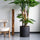 Philodendron Künstlich H: 160cm Finestgreen 