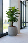 Monstera Pertusum künstlich, H: 140cm