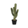 Kaktus Cereus Künstlich H: 72cm Finestgreen [mc]