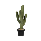 Kaktus Cereus Künstlich H: 55cm Finestgreen [mc]