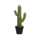 41 cm