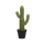 Kaktus Saguaro Künstlich H: 41 cm Finestgreen [mc]