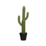 Kaktus Saguaro Künstlich H: 62 cm Finestgreen [mc]